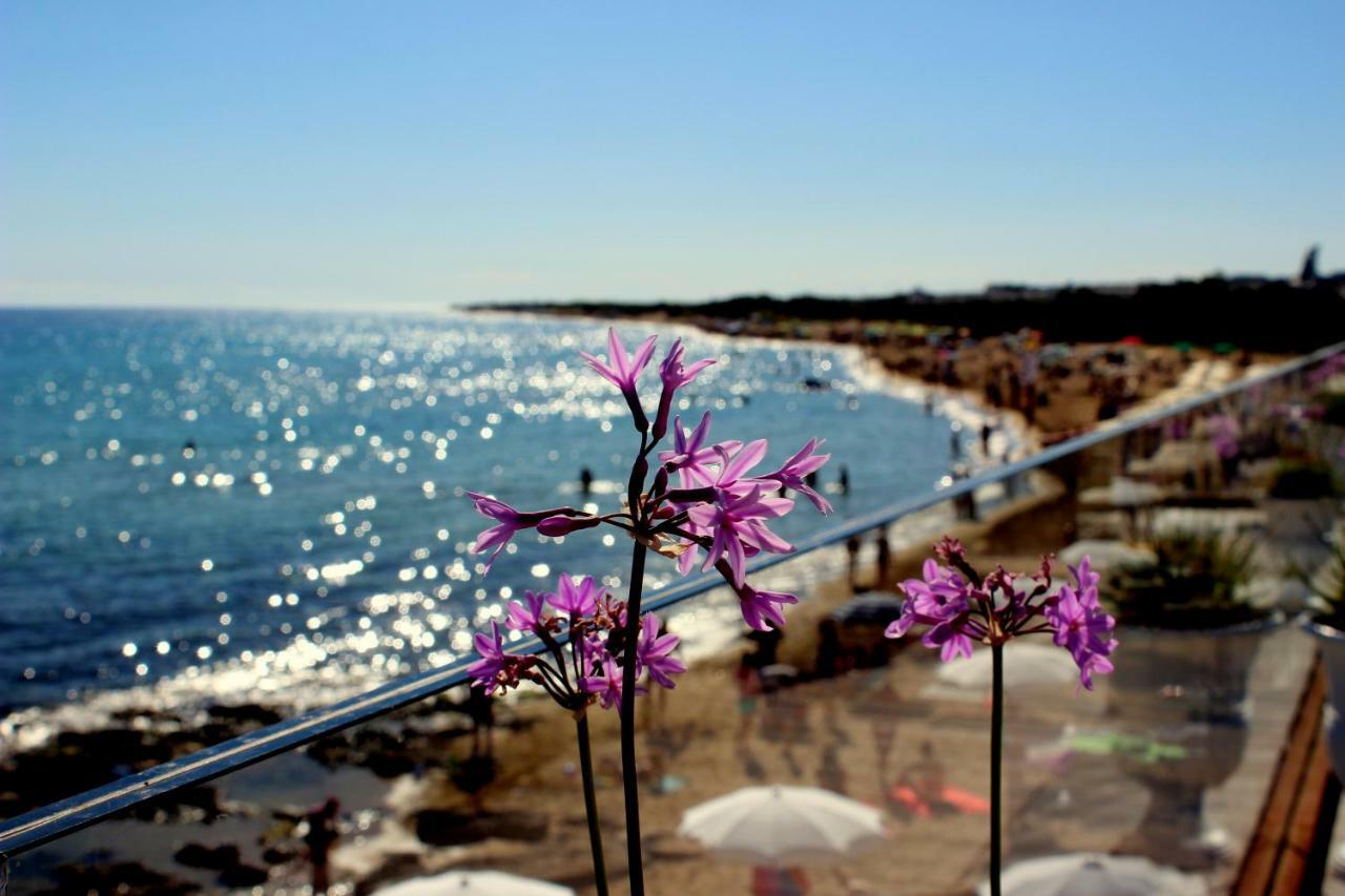 Home Holiday Salento Monica'S House Pescoluse Marina Di Pescoluse Eksteriør billede